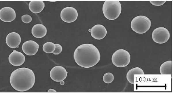 図 2.3-1  チタン合金粉末の SEM 写真 