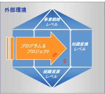 図表 1-13 プログラム＆プロジェクトと組織能力の関係図  即ち、組織能力は事業戦略レベル、知識変換レベルおよび組織資源レベルに区分するこ とができ、知識変換レベルの顕在化した姿がプログラムであり、プロジェクトであると言 える。以下に、この基本構図に基づき、各レベルの内容を概観することにする。（図表 1-14 参照）  ①  事業戦略レベル  事業戦略レベルでは事業のビジョン、ミッションに基づき、基本戦略それにビジネスモ デル、基本コンセプトを明確にする必要がある。このうち、解りづらいのが基本コンセプ ト