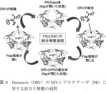 表   2　DRV および新規化合物の HIV-1 WT および HIV-1 DRV R s に対する抗 HIV-1 活性 15）
