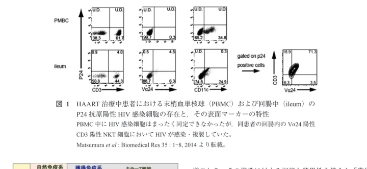 図   2   体表面に配置された自然免疫と体内に配置された 獲得免疫