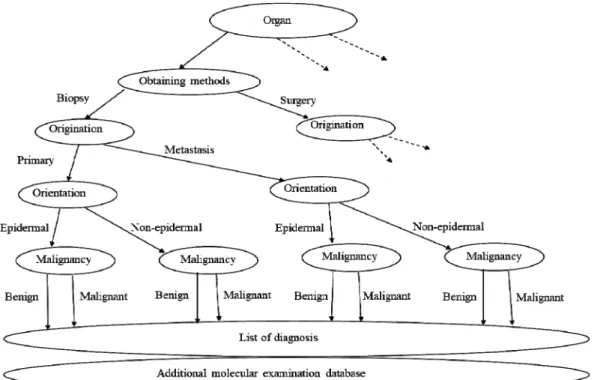 Fig 1. Decision tree 