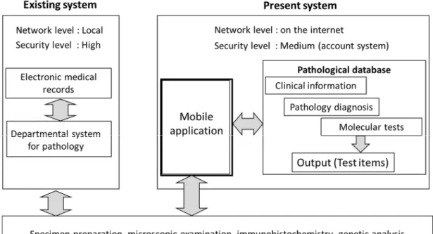 Figure 1   Position of the present system in daily diagnostic work