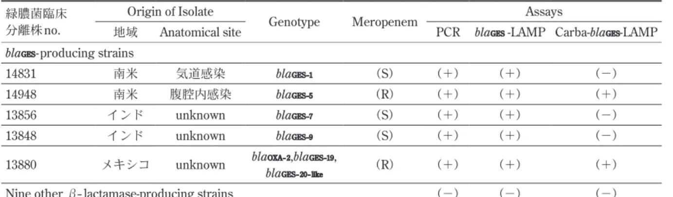 表 3  PCRおよび LAMPアッセイの検出限界 PCR bla GES -LAMP