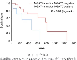表 1  標的糖転移酵素遺伝子と使用した TaqMan® gene expression assay