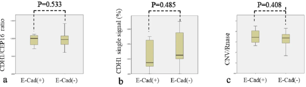 図 2 E-Cad(+) VS E-Cad(-) 症例のカイ2 乗検定結果。 a,b はDual-FISH 法, c はD-PCR 法