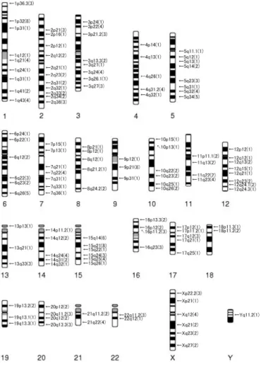 Fig. 2 HBV4 症例の ideogram のまとめ