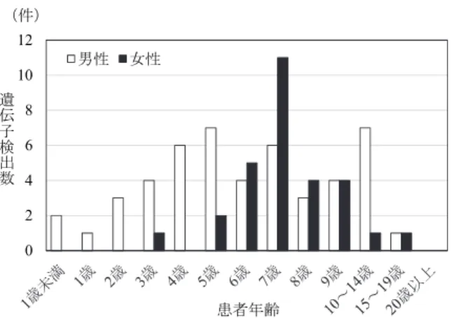 図 4.  ムンプスウイルス遺伝子検出数（男女別年齢別） 2.  遺伝子型と分子系統樹解析   遺伝子検査陽性検体82件のうち80件で，遺伝子型を決定 する SH 遺伝子領域の塩基配列を得た． GenBank を利用し BLAST 解析を行ったところ， 1 件が国産ワクチン株の鳥居 株と一致するB型，その他79件すべてがG型であった．B 型の 1 件は無菌性髄膜炎の検体であったが，ワクチン接種 歴の情報が無く，ワクチン接種との関連性は不明である． G 型はさらに 2 つの亜型に分類され， 2009 年当時の