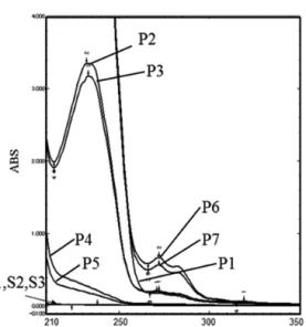 Fig. 5. UV Spectrum of Test Solution        A ： Water ， B ： pH1.2 ， C ： pH6.8 ，       D ： Mc6.8 ， E ： Mc4.0 ， F ： pH4.0 結  果1