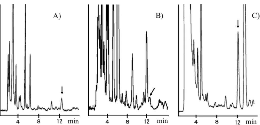 Fig. 2. HPLC Chromatograms of Sample Extraction Solutions Spiked with PBO