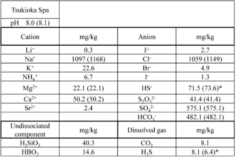 Table 1  Analysis Table of Tsukioka Spa (Simulated Tsukioka Spa)