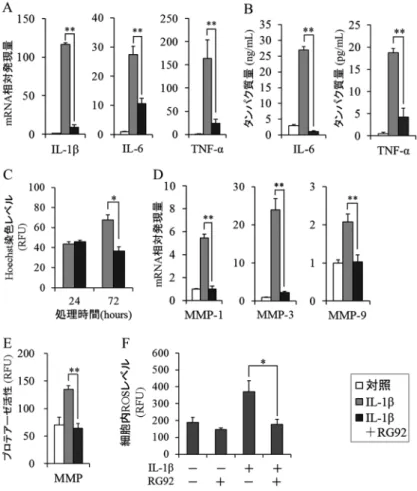 図  4　滑膜線維芽細胞における Mucidosphaerium sp. RG92 株抽出物の抗炎症・抗酸化作用