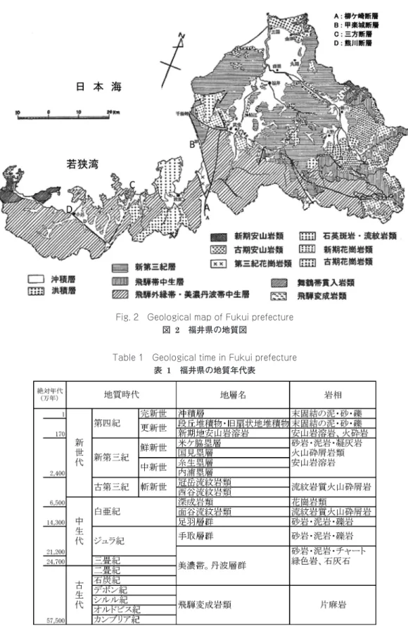 Fig. 2  Geological map of Fukui prefecture 図  2　福井県の地質図