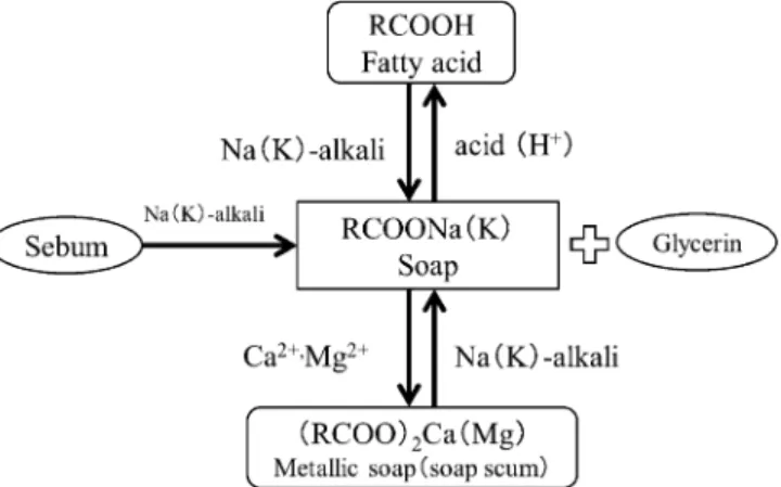 Fig. 1  The relationship between components of bathwater and soapy feel to the skin.