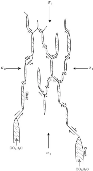 Fig. 3  Schematic  diagram  of  the  distribution  of  cracks  and  cleats  with  supper  critical  ﬂ uid  in  the  upper  mantle.    σ 1   :  maximum  stress  (vertical  direction)  ;  σ 3   :  minimum  stress  and  →  :  small  shearing faulting.
