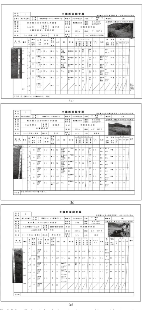 Fig. 2. Soil profile descriptions in three sites (as reported by participating students)