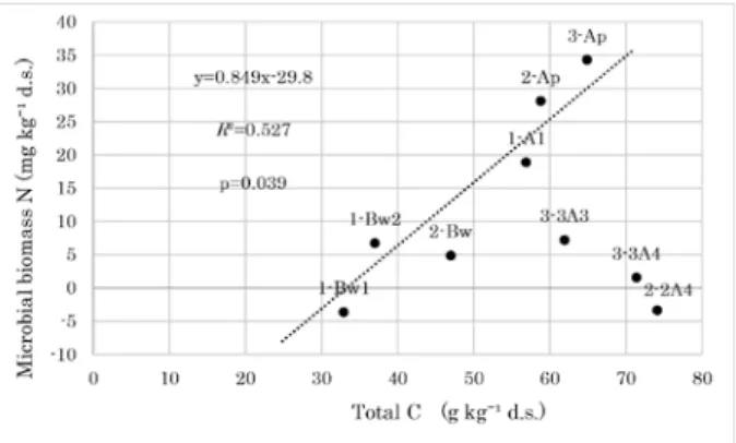 Fig. 9. Relation between soil microbial biomass nitro- nitro-gen and CO 2  production