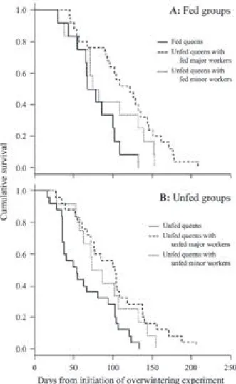Fig. 1. Cumulative proportion of surviving queens.