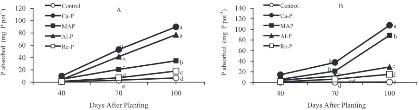 Table 1. Phosphorus recovery rate (%) by upland rice from different phosphorus sources
