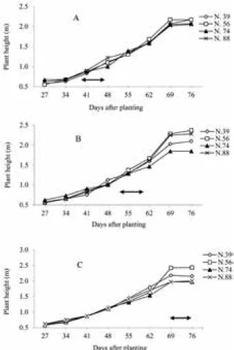 Fig. 5. Effect of nitrogen application timing on plant height when soil moisture was kept at pF 1.5 at different growth stage, 8 leaf- (A), 12 leaf- (B) or the silking (C) stage
