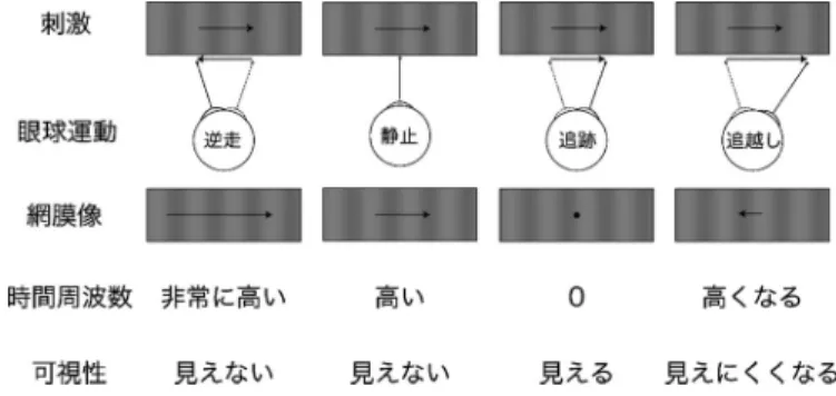図 1 刺激・ SPEM ・網膜像・可視性の関係．
