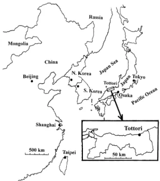 Fig. 1. Location of the sampling station.