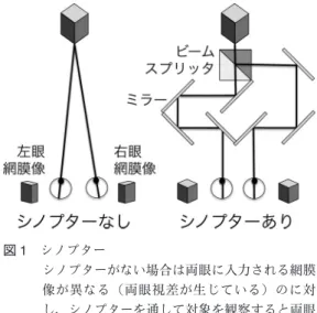図 1 シノプター シノプターがない場合は両眼に入力される網膜 像が異なる（両眼視差が生じている）のに対 し，シノプターを通して対象を観察すると両眼 に同じ網膜像が入力される（両眼視差がゼロ）．2010 年夏季大会．