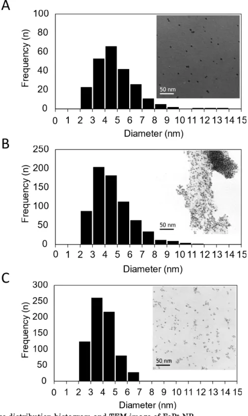 Fig. 6 Size distribution histogram and TEM image of FePt NP 
