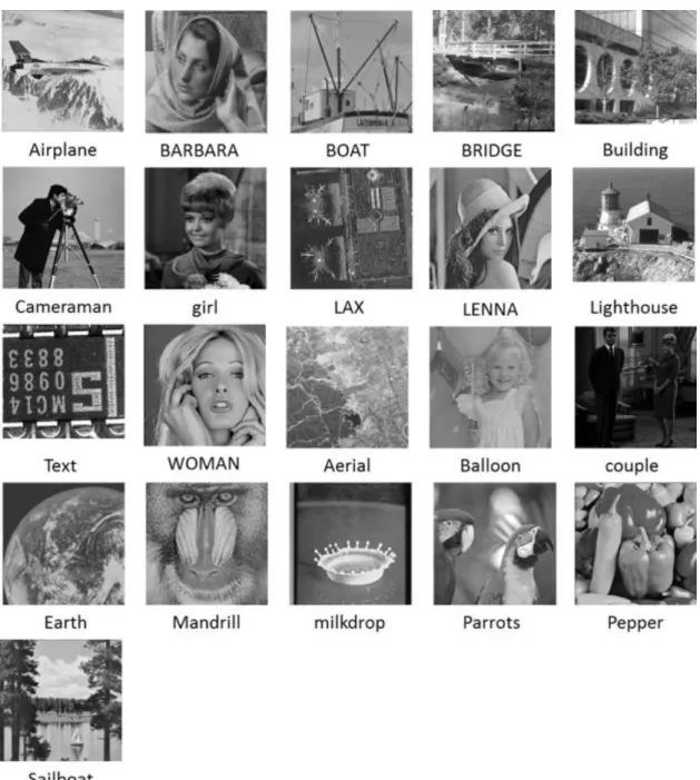 図  2.6  21 種類の画像（8bit グレースケール画像，画像サイズ 256✕256） 