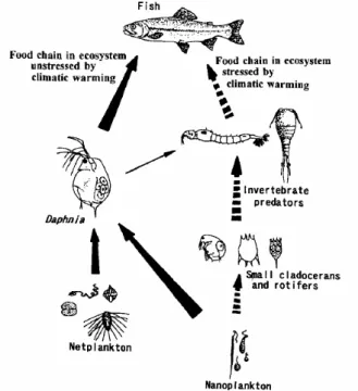 Fig. 4. Changes in habitats of warmwater fishes    and coolwater fishes in lakes according to the    process of climatic warming