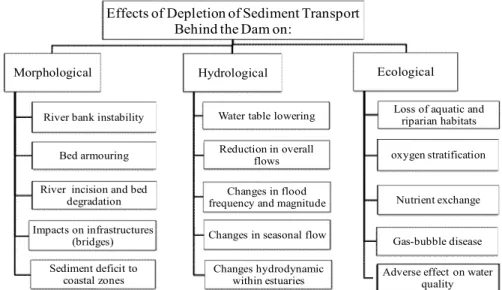 Figure  1  classifies  the  impacts  of  sediment  deficit  downstream  of  dam  to  three  groups; 