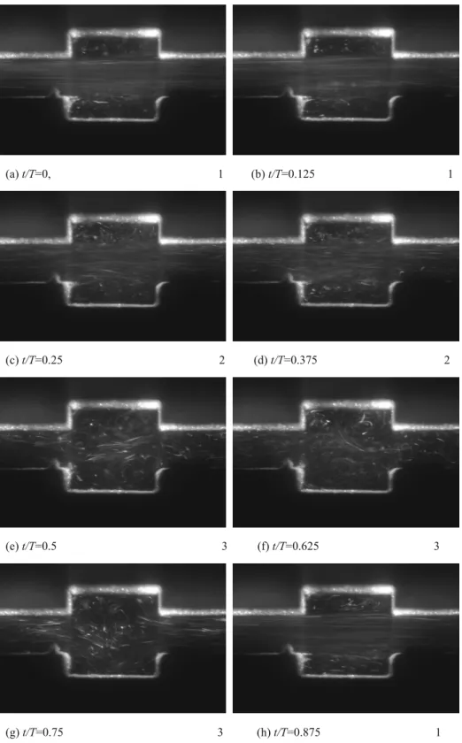 Fig. 4 Experimental flow patterns for Re=570, P=1, l=10mm and f=0.6160 
