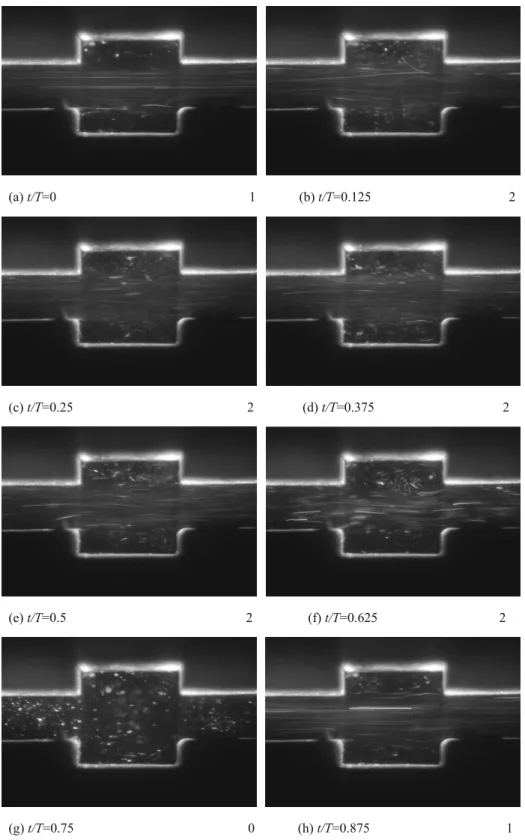 Fig. 5 shows the pulsatile flow patterns at Re=570, P=1, f=0.1173 and l=10mm, it can be seen that unstable  flow state occurs during the period of t/T=0.125-0.625, the unstable flow is earlier than that at f=0.6160, a part of  fluid in the mainstream flows