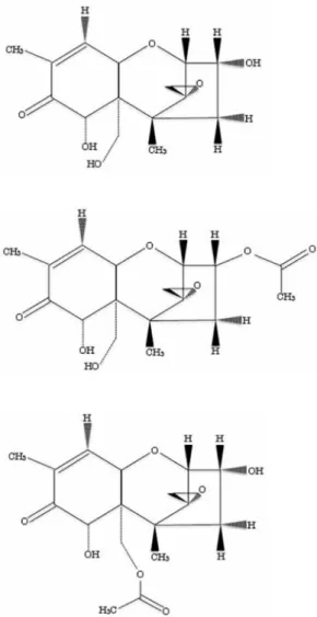 Figure 1.  Structures of DON and acetylated DONs.