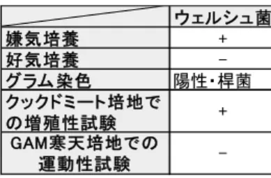 表 1 ．ウェルシュ菌の性状検査