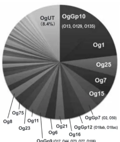 図 8 ． 下痢症のブタから分離された大腸菌のO-genotype の分布