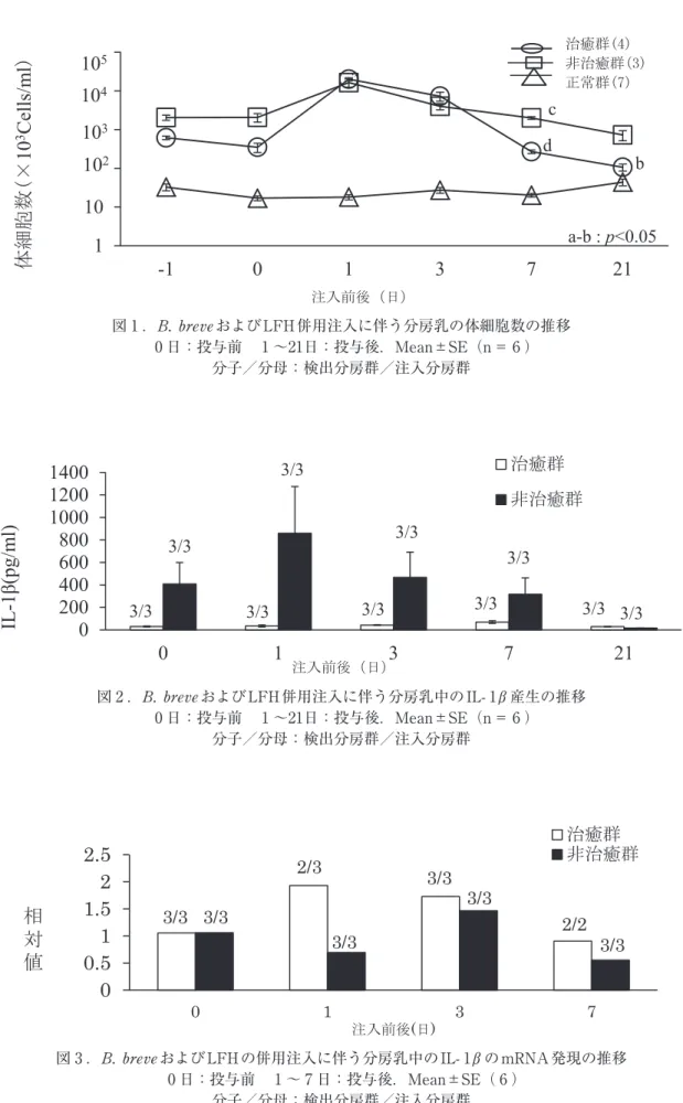 図 1 ．B. breveおよびLFH併用注入に伴う分房乳の体細胞数の推移 0 日：投与前　 1 〜21日：投与後．Mean±SE（n＝ 6 ） 分子／分母：検出分房群／注入分房群 図 2 ．B