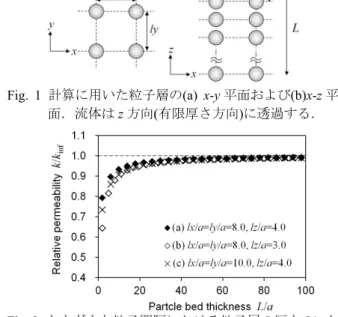 Fig. 1  計算に用いた粒子層の (a)  x-y 平面および (b)x-z 平
