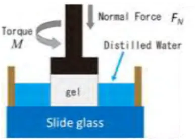 Figure 2: Time evolutions of friction coefficient  for  the  gels  with  various  (a)  radii  and  (b)  thickness
