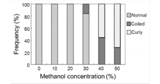 Fig. 2  The frequencies of the various shapes of  filaments observed in the methanol solution were  summarized as a histogram 