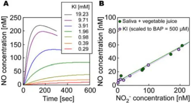 Fig. 1: NO-measuring system with NO sensor ３．実験結果    還元剤としてヨウ化カリウム（KI）を用いた場 合，生成する NO 濃度は NO 2 - 濃度および KI 濃度に 依存していた（Fig.2A）．    唾液からは 10～700  M の NO 2 - が検出された．野菜ジュースの BAP 値は約 25 mM であった．唾液もしくは野菜ジュースの一方のみを pH 2 の緩衝溶液に添加すると微量の NO が生成し，両者を混合した場合，生成する NO 濃度