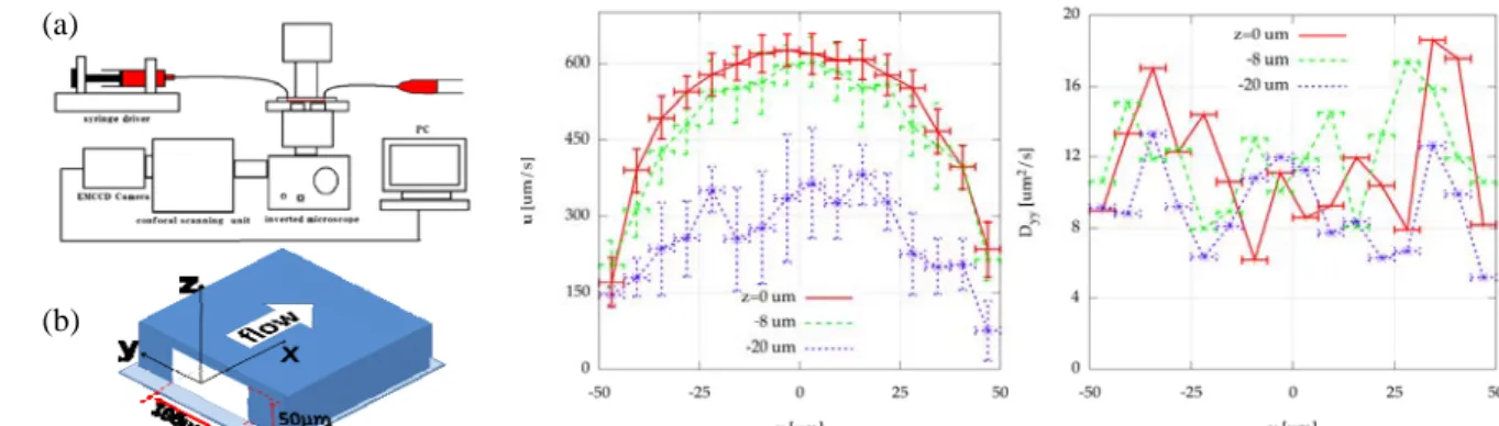 Fig. 1 (a) Experimental setup, (b) microchannel. 