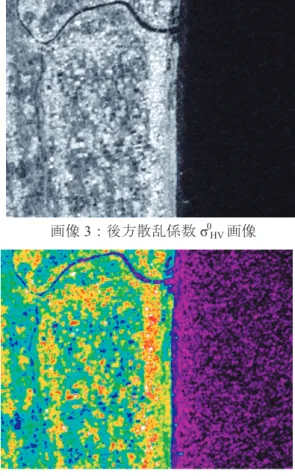 図 1 ： L バンド SAR による観測データ概念図 σ 0 ＝ 10 ・ Log 10 ＜ DN 2 ＞＋ CF (1) ここに， DN ：デジタル・ナンバー， CF ：校正係 数，＜＞：アンサンブル平均である． 後方散乱係数は，物体からはね返るマイクロ波の 受信強度を表すもので，湖水等の水面に当たったマ イクロ波のほとんどはアンテナ方向に戻らないため 値が低く，森林や建物は複数回散乱したマイクロ波 が戻るため高い値を示す． 後方散乱係数 σ 0 の値は実数値であり，直接，視覚 化することができないため