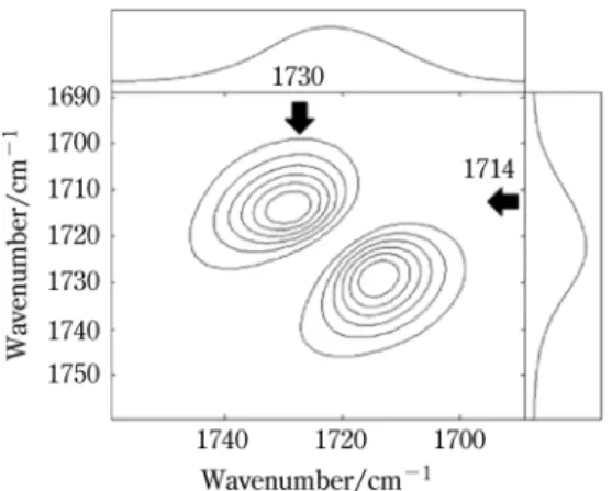 図 12 Disrelation 二次元相関解析の結果｛参考文献 9 より許 可を得て再掲 Copyright (2017) Elsevier｝ 図 13 1730 と 1714 cm －1 の吸光度を用いて算出した二次元相 関マップ｛参考文献 9 より許可を得て再掲 Copyright (2017) Elsevier｝ 4 お わ り に 本稿で紹介した二次元相関分光を活用することで，他 の手法では得難い，機能発現に関わる界面相互作用に関 する新たな知見が得られることがわかってきた。今後， 二次元相関分光