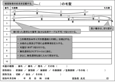 図 3 毛髪の貼付様式mm程度埋まっている。また，ハサミで切断する際は，頭皮に傷つけないように，頭皮より数mm上の位置で毛幹部を切断する。つまり，毛根側1 cm程度は頭皮に残る。毛髪の成長速度を1か月に1 cmと見積もると，薬 物 摂 取 日 か ら1か 月 以 上 待 っ て か ら 切 断 し な け れば，血液を介して取り込まれた薬物を含有する毛髪は採取できない。最近の分析技術の高度化により，薬物の種類によっては，1本の毛髪からの検出も可能な場合があり，抜去毛が利用されることもある。毛根末端を含んだ成