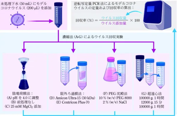 図 1 著者らの論文 5) で評価した 7 種類の下水中ウイルス濃縮法及びモデルコロナウイルス回収率 の算出法 入の効果の判断材料として下水調査結果が活用された事例もあり，前述の理由から新型コロナウイルスに関しても下水疫学調査が感染流行実態把握のための有用な知見を提供する可能性がある。実際に，海外で実施された研究の中には，下水疫学調査の結果より公衆衛生的介入（ロックダウンや外出禁止命令）によるCOVID19感染拡大抑制効果を確認できたことを報告する研究事例もある2)。3下水中の新型コロナウイルスの分析法3