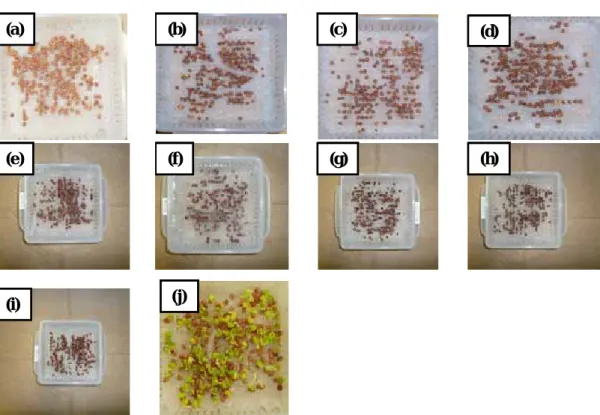 Fig.  1 The  results of our e xperiment for various solutions.