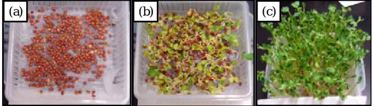 Fig. 6 The results of our experiment for (a) artificial seawater, (b) the solution treated with natural zeolite, and (c)  distilled water