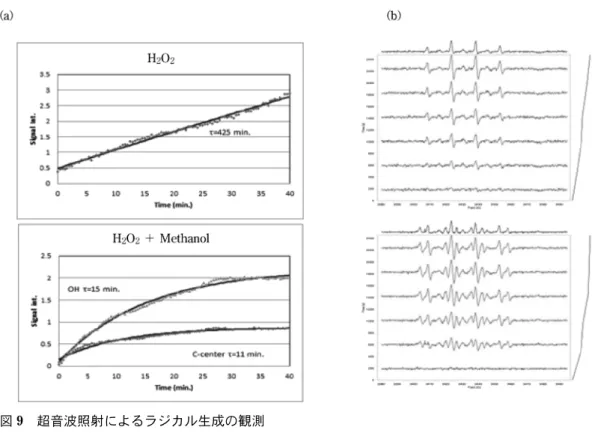 図 10 はヒポキサンチン/キサンチンオキシダーゼの