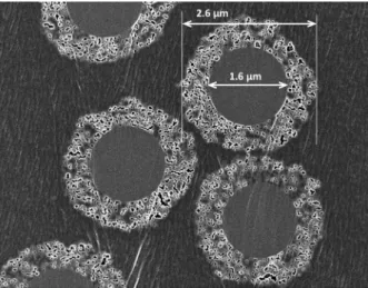 図 1 細孔径 100 nm のコアシェルシリカ 図 2 細孔径 16 nm のコアシェルシリカ 図 3 理論段高さと移動相線流速の関係ており，ほぼ粒子の真ん中で輪切りにした状態になっている。中心部の核と表面の多孔質層が明確に映っている。粒子サイズは図1に示しているように核の直径は1.6nm で ， 多 孔 質 層 の 厚 さ は 0.5 nm で 粒 子 径 は 2.6nm となっている。この電子顕微鏡写真で分かるように多孔質層はシリカの微粒子（一次粒子）が集まってできており，粒子間の隙間が細孔になる。こ