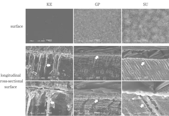 Fig.　6　SEM observation of dentin surface and longitudinal cross-sectional surface of dentin 　In the KE, GP and SU groups, the superficial layer of dentin appeared to be covered with a  resin coating